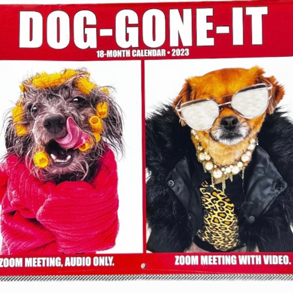 Dog Calendar 2023